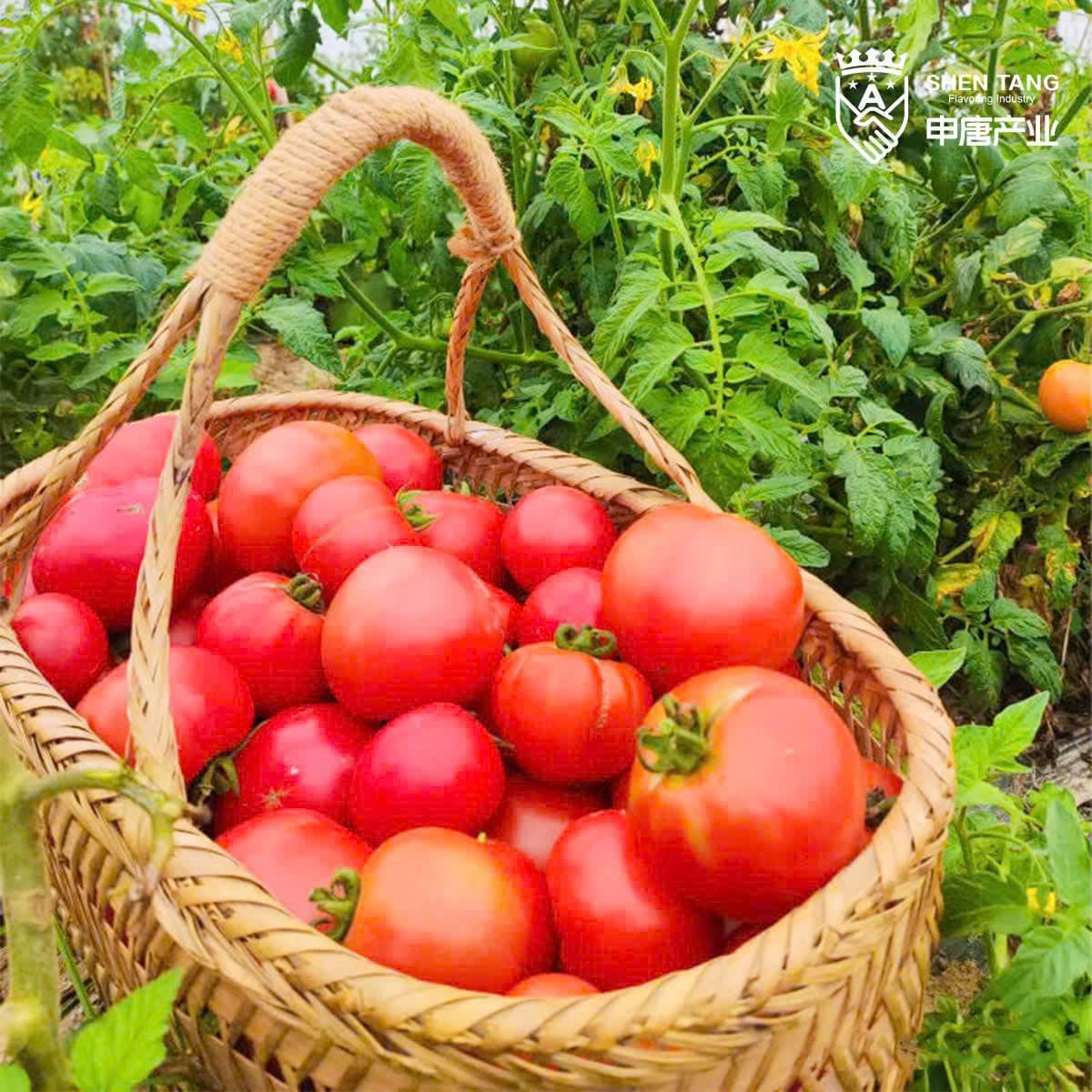 Tomatoes in basket